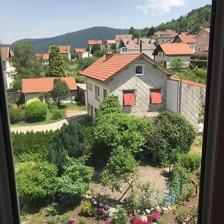 En Centre Apartment Gerardmer