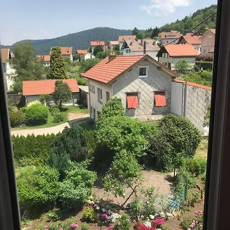En Centre Appartement Gérardmer